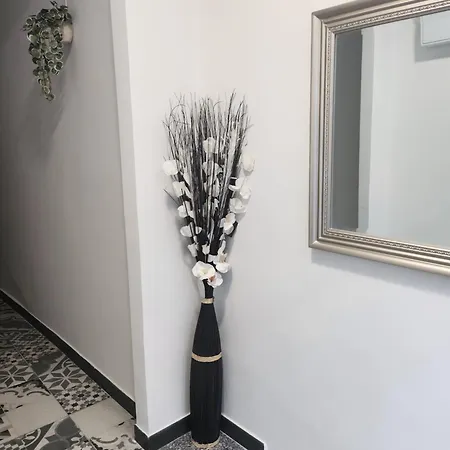 Viviendas Plaza Del Tronco 2 * Ferrol